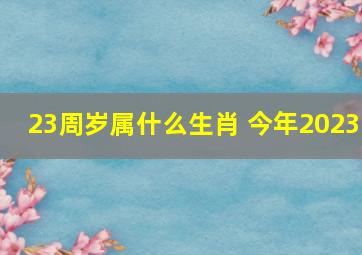 23周岁属什么生肖 今年2023