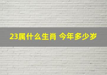 23属什么生肖 今年多少岁