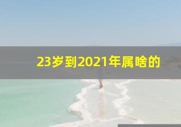 23岁到2021年属啥的