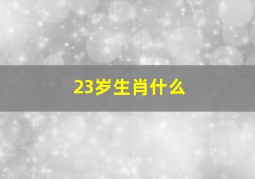 23岁生肖什么