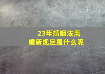 23年婚姻法离婚新规定是什么呢