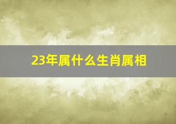 23年属什么生肖属相