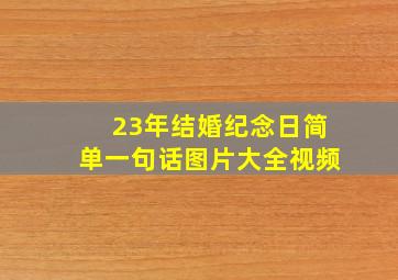 23年结婚纪念日简单一句话图片大全视频