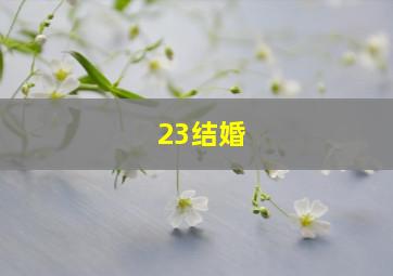 23结婚