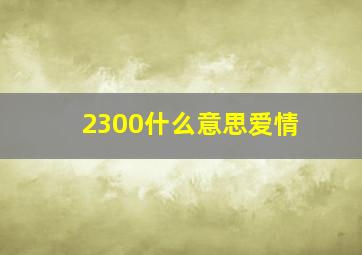 2300什么意思爱情