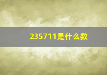 235711是什么数