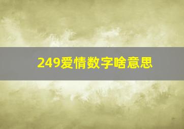 249爱情数字啥意思