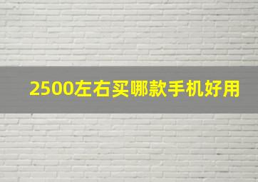 2500左右买哪款手机好用