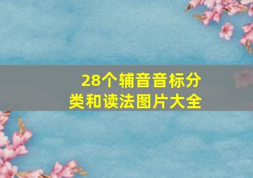 28个辅音音标分类和读法图片大全