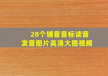 28个辅音音标读音发音图片高清大图视频