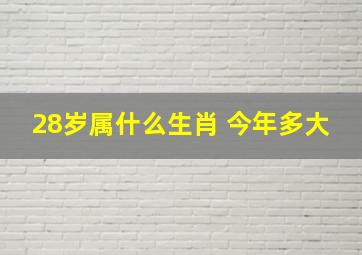 28岁属什么生肖 今年多大