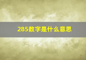 285数字是什么意思