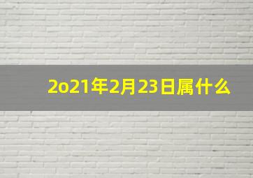 2o21年2月23日属什么