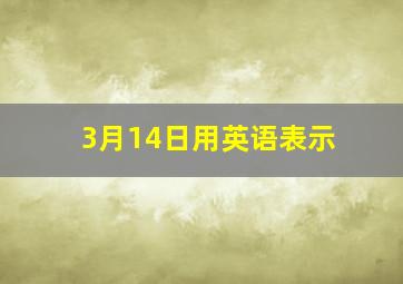 3月14日用英语表示