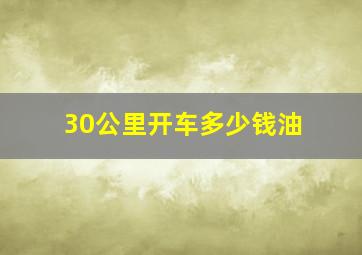 30公里开车多少钱油