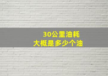 30公里油耗大概是多少个油