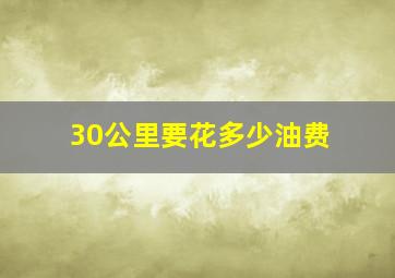 30公里要花多少油费