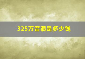 325万音浪是多少钱