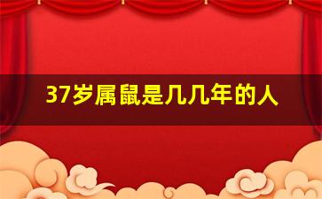 37岁属鼠是几几年的人