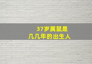 37岁属鼠是几几年的出生人