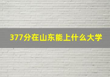 377分在山东能上什么大学