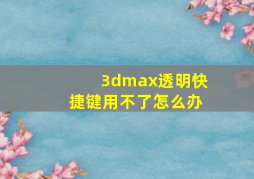 3dmax透明快捷键用不了怎么办