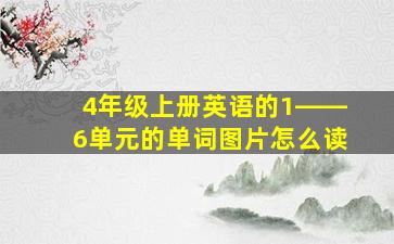 4年级上册英语的1――6单元的单词图片怎么读