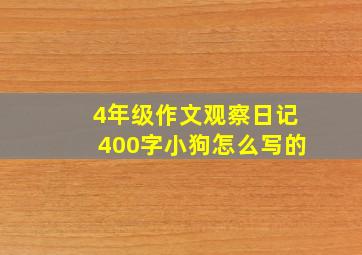 4年级作文观察日记400字小狗怎么写的