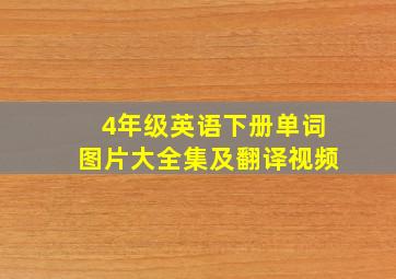 4年级英语下册单词图片大全集及翻译视频