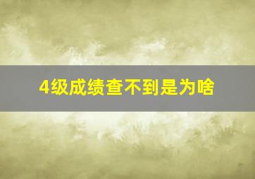 4级成绩查不到是为啥