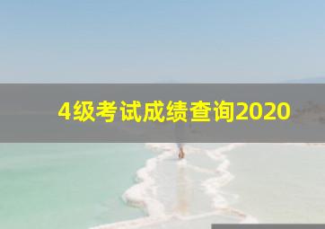 4级考试成绩查询2020