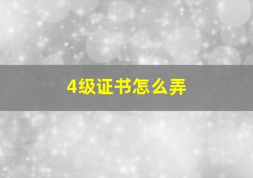 4级证书怎么弄