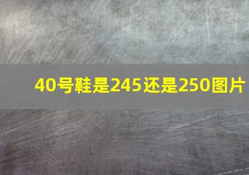 40号鞋是245还是250图片