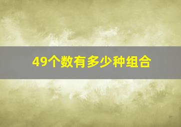 49个数有多少种组合