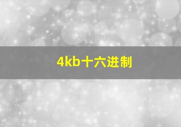 4kb十六进制