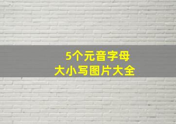 5个元音字母大小写图片大全