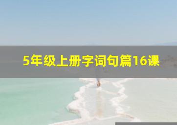 5年级上册字词句篇16课