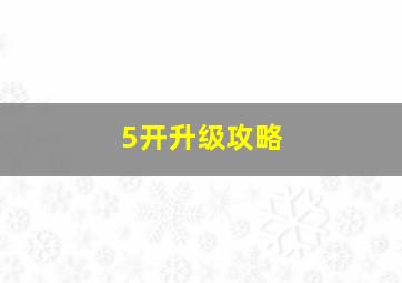 5开升级攻略