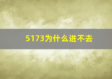 5173为什么进不去