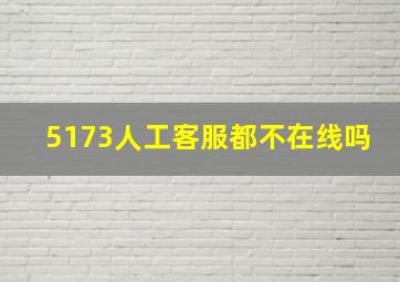 5173人工客服都不在线吗