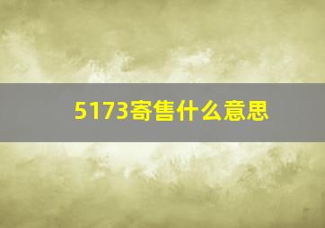 5173寄售什么意思