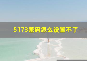 5173密码怎么设置不了