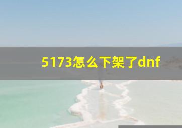 5173怎么下架了dnf