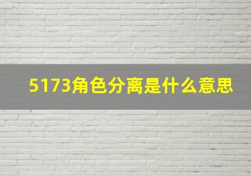 5173角色分离是什么意思