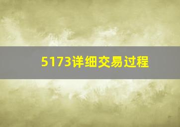 5173详细交易过程