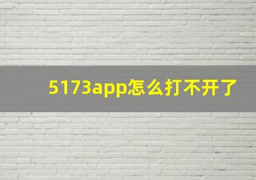 5173app怎么打不开了