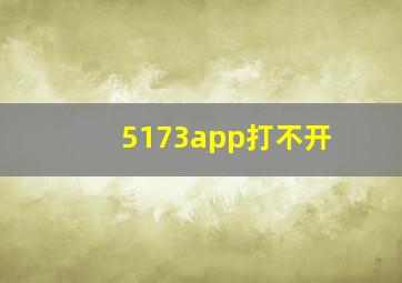 5173app打不开