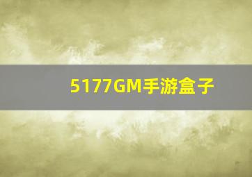 5177GM手游盒子