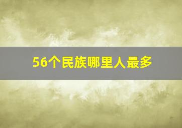 56个民族哪里人最多