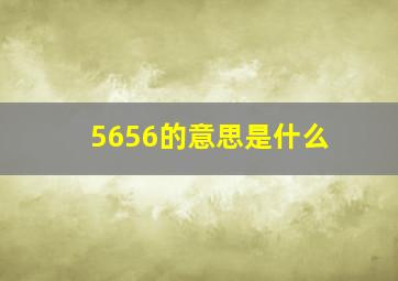 5656的意思是什么